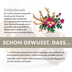 Hochwertiger Teufelskralle Balsam - 500ml - Gelenkpflege mit Rosmarinöl