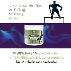Pferde Balsam mit Teufelskralle und Cannabidiol (CBD) Pferdesalbe - in 2 Größen