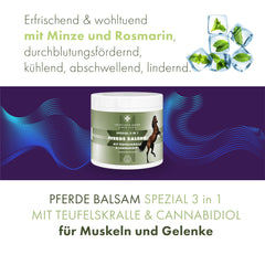 Pferde Balsam mit Teufelskralle und Cannabidiol (CBD) Pferdesalbe - in 2 Größen