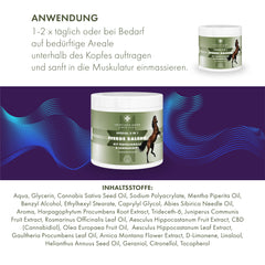 Pferde Balsam mit Teufelskralle und Cannabidiol (CBD) Pferdesalbe - in 2 Größen