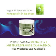 Pferde Balsam mit Teufelskralle und Cannabidiol (CBD) Pferdesalbe - in 2 Größen