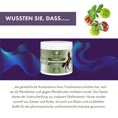 Pferde Balsam mit Teufelskralle und Cannabidiol (CBD) Pferdesalbe - in 2 Größen