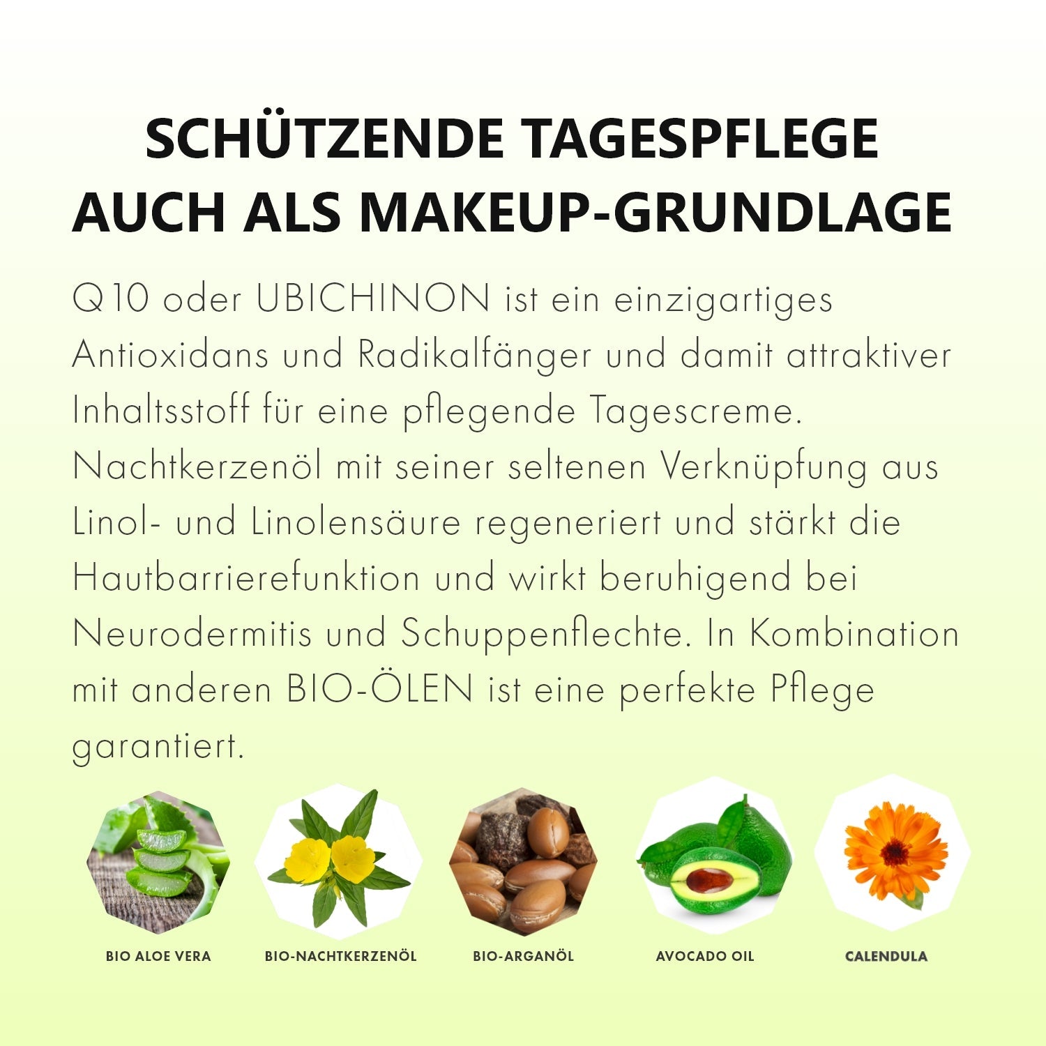 Q10 Balsam mit Nachtkerzenöl und Arganöl - Naturkosmetik - CristinenMoor
