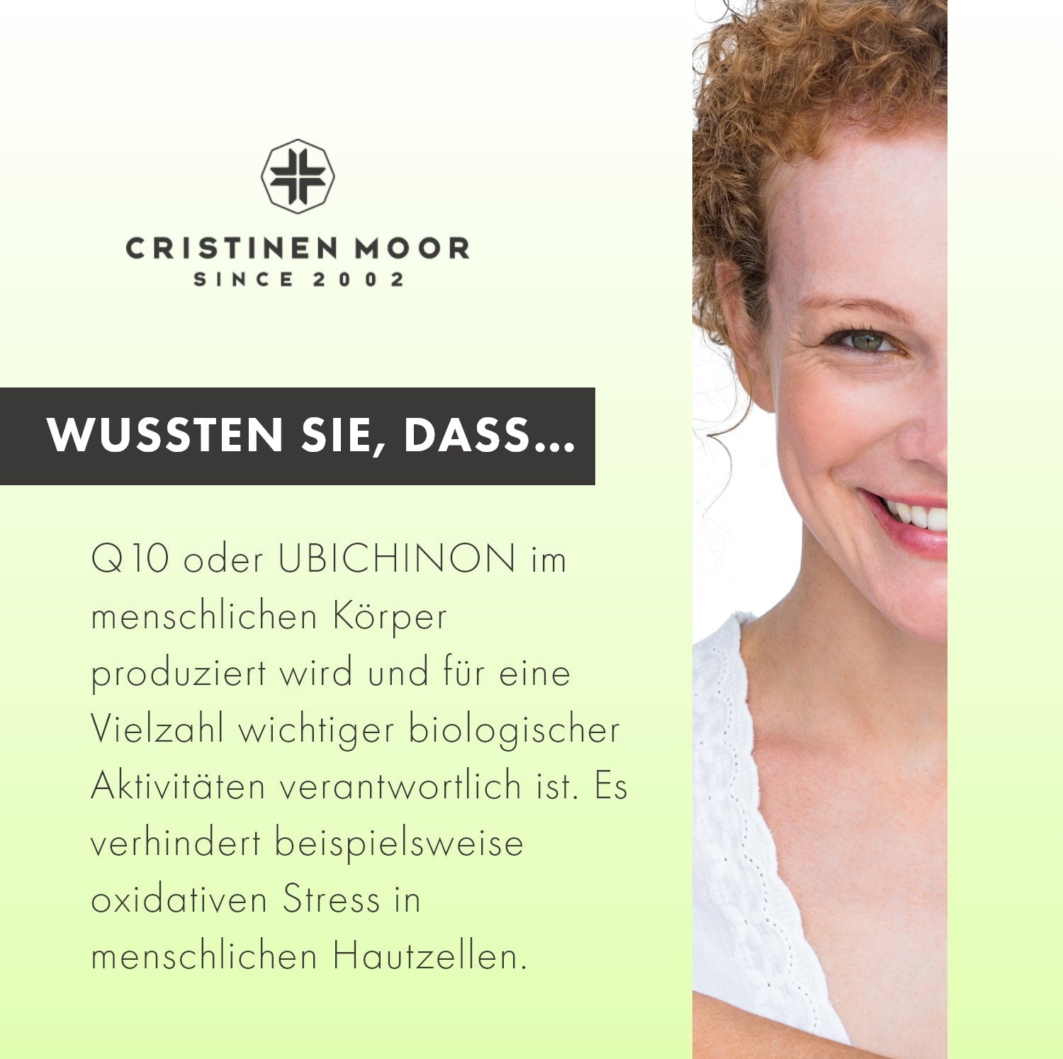 Q10 Balsam mit Nachtkerzenöl und Arganöl - Naturkosmetik - CristinenMoor
